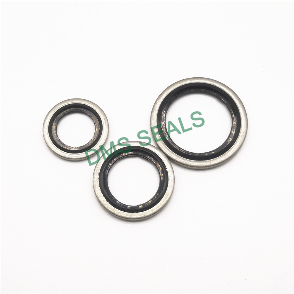 High Temperature Resistant SS316 Combination Gasket Bonded Seal 7