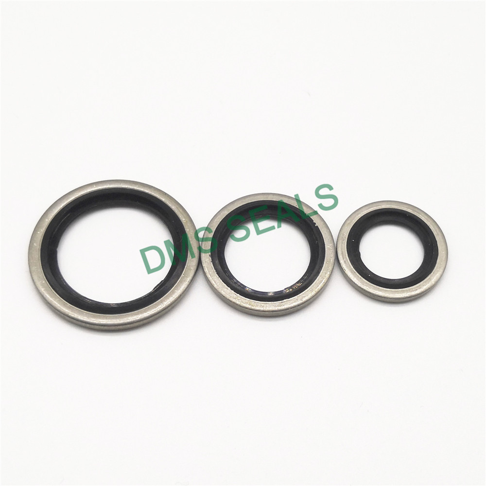 High Temperature Resistant SS316 Combination Gasket Bonded Seal 6