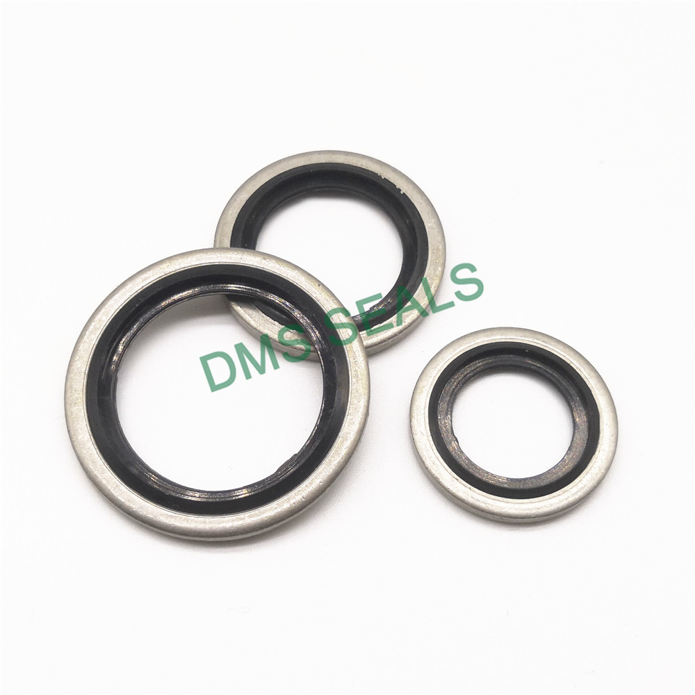 High Temperature Resistant SS316 Combination Gasket Bonded Seal 4