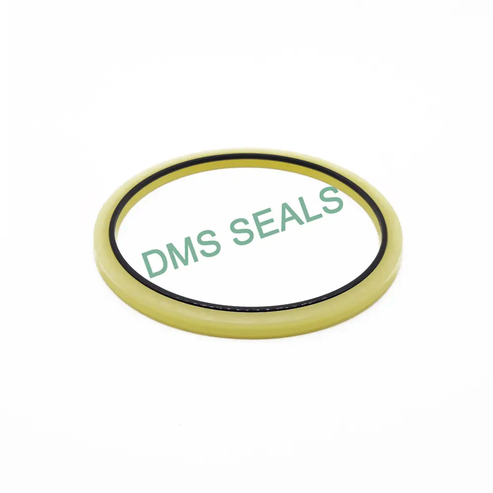 Customo-ring Seal ≤50 MPa Water 2