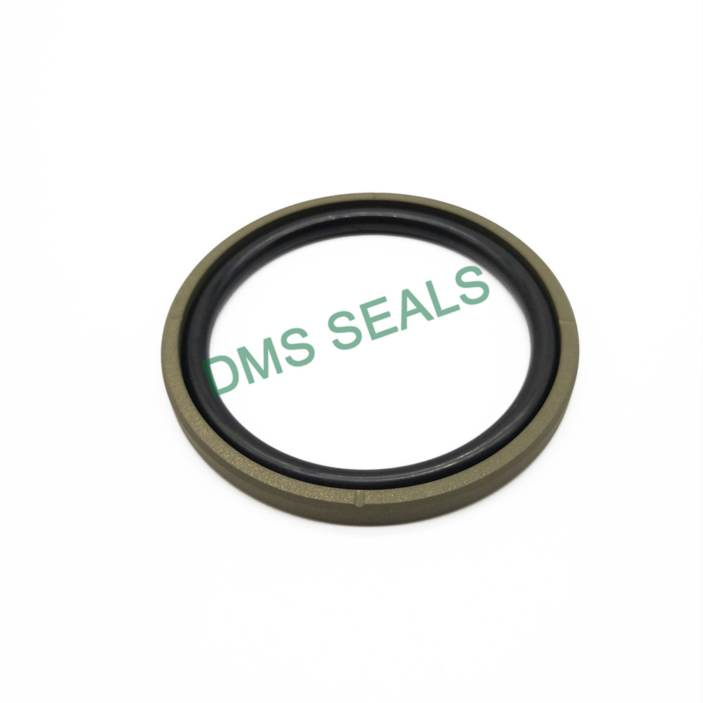 GSF Straight Groove- Bronze PTFE Hydraulic Piston Seal glyd ring with NBR/FKM O-Ring 1