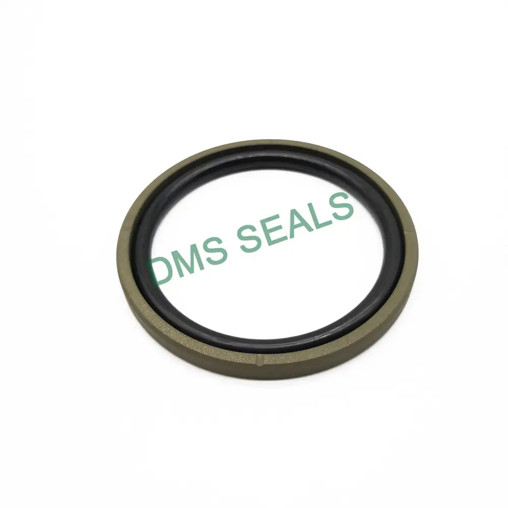 GSF Straight Groove- Bronze PTFE Hydraulic Piston Seal glyd ring with NBR/FKM O-Ring 1