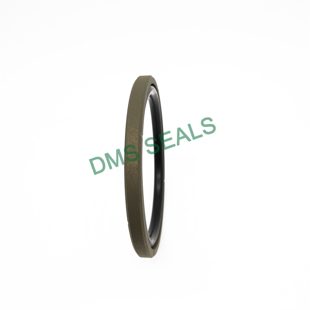 GSF Straight Groove- Bronze PTFE Hydraulic Piston Seal glyd ring with NBR/FKM O-Ring 5