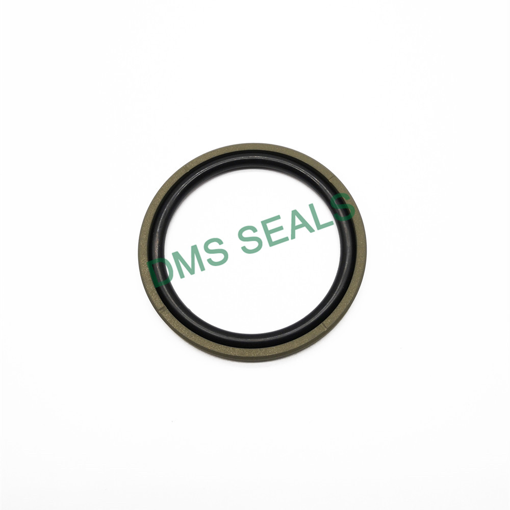 GSF Straight Groove- Bronze PTFE Hydraulic Piston Seal glyd ring with NBR/FKM O-Ring 3