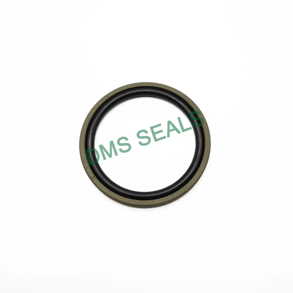 DMS Seals Hydraulic Cylinder Piston Seals 15 M/s Hydraulic Cylinder Piston SealsSupplier 3