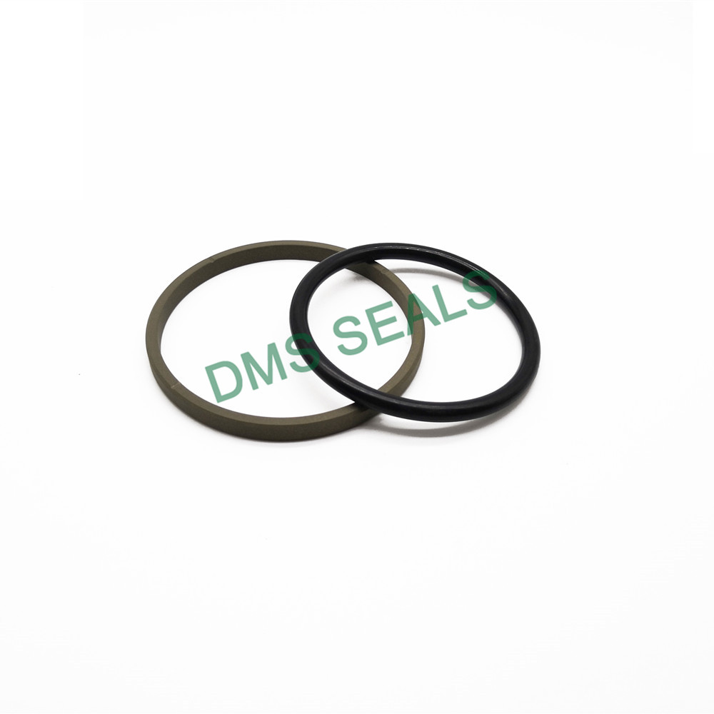 GSF Straight Groove- Bronze PTFE Hydraulic Piston Seal glyd ring with NBR/FKM O-Ring 2