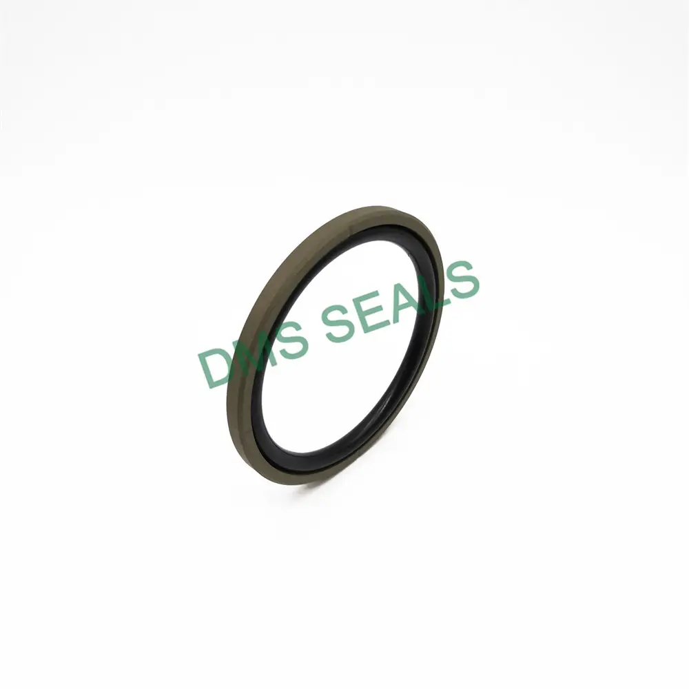 DMS Seals Hydraulic Cylinder Piston Seals 15 M/s Hydraulic Cylinder Piston SealsSupplier 4