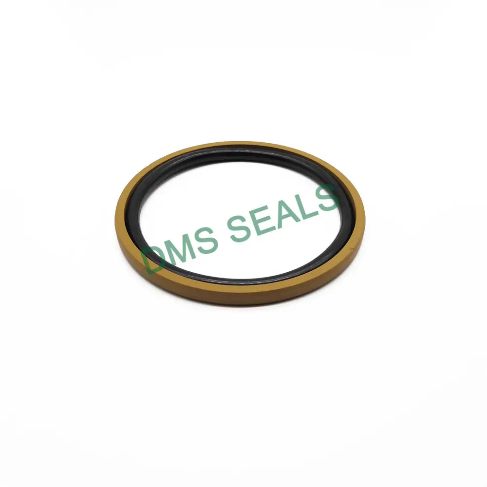 DMS Seals hydraulic piston seal installation company for sale 1