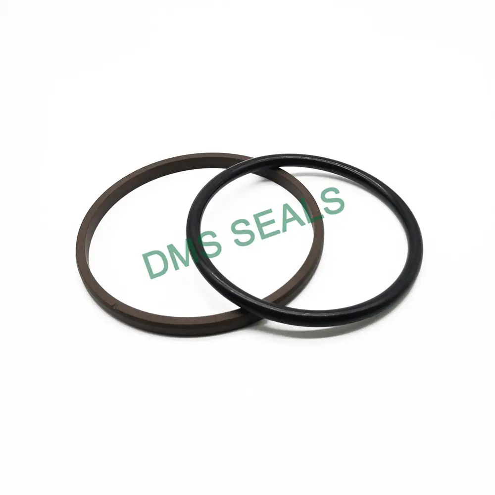 Factory Direct Hydraulic Cylinder Piston Seals Top Brand 4