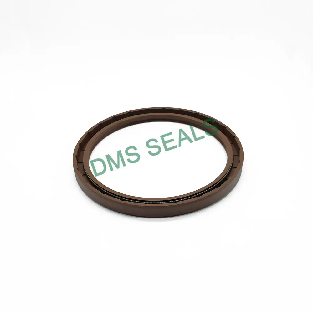 Oil Seal Types by DMS Seals 2