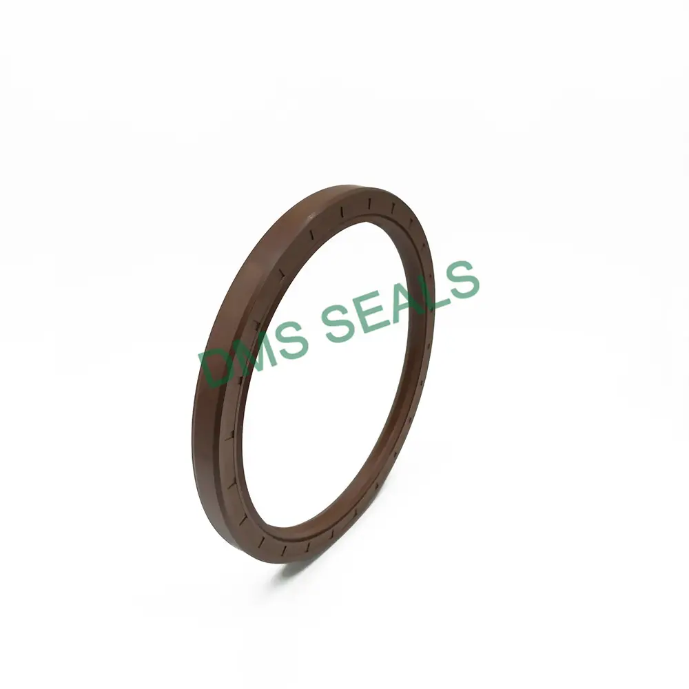 Oil Seal Types by DMS Seals 5