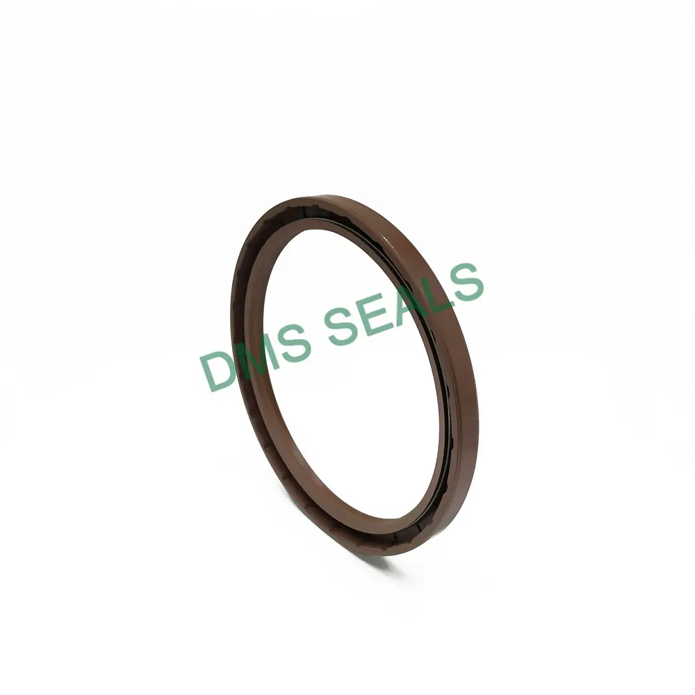 Oil Seal Types by DMS Seals 6
