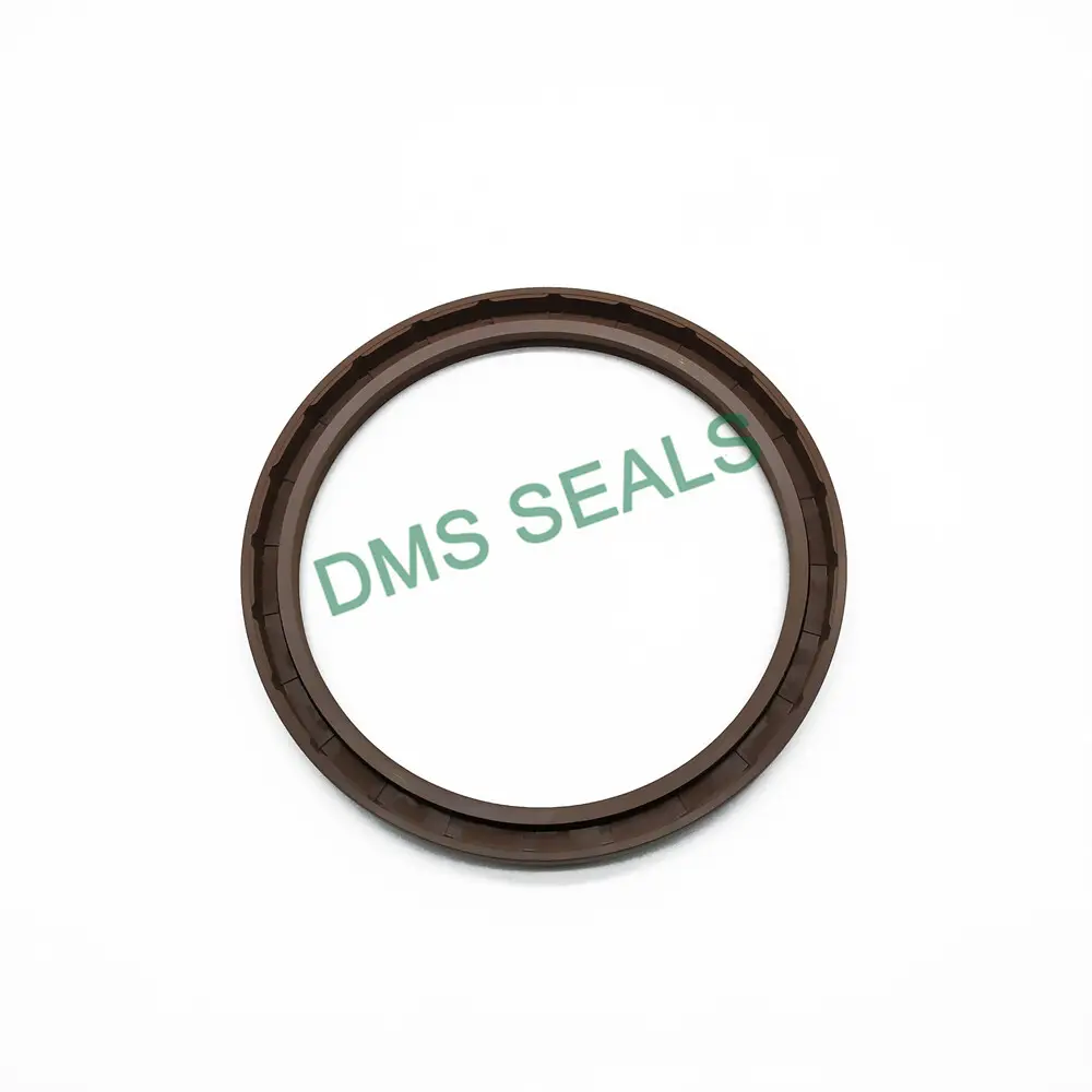 Oil Seal Types by DMS Seals 4