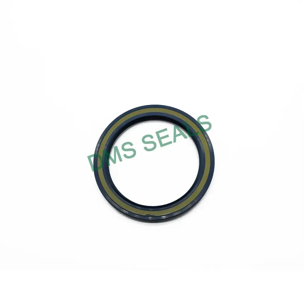 DMS Seals Oil Seals Factory Direct Supply 3