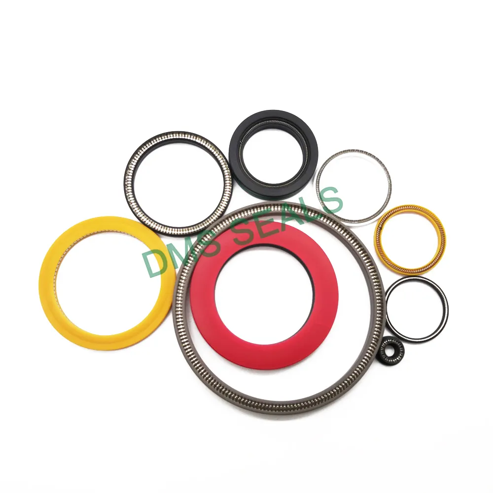 Cost-effective Ptfe Spring Seal Company 7