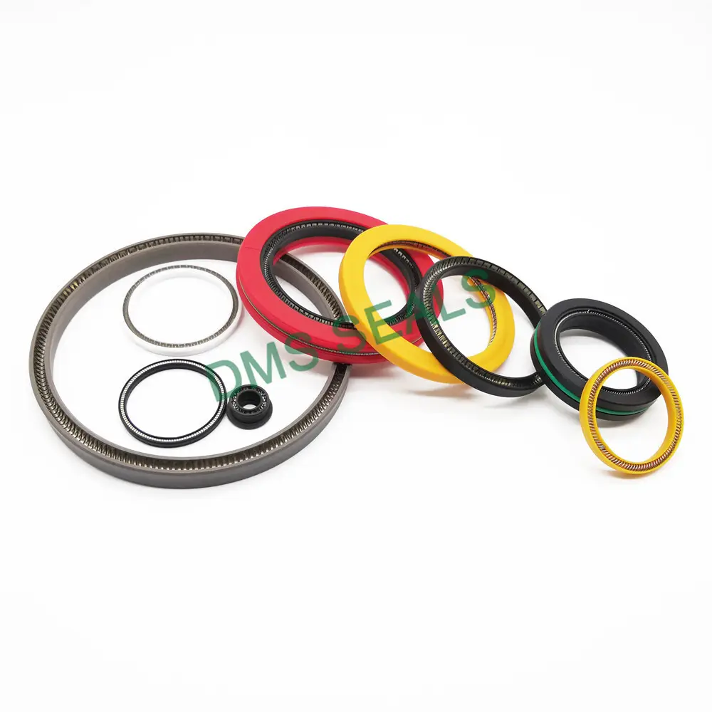 Cost-effective Ptfe Spring Seal Company 6