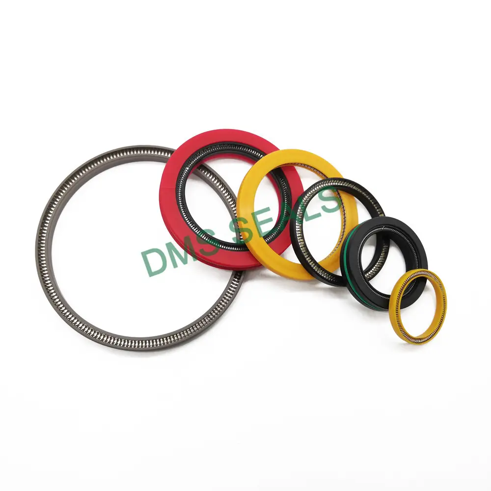 DMS Seals Spring Loaded Seals Spring Loaded Seals Distributor 5