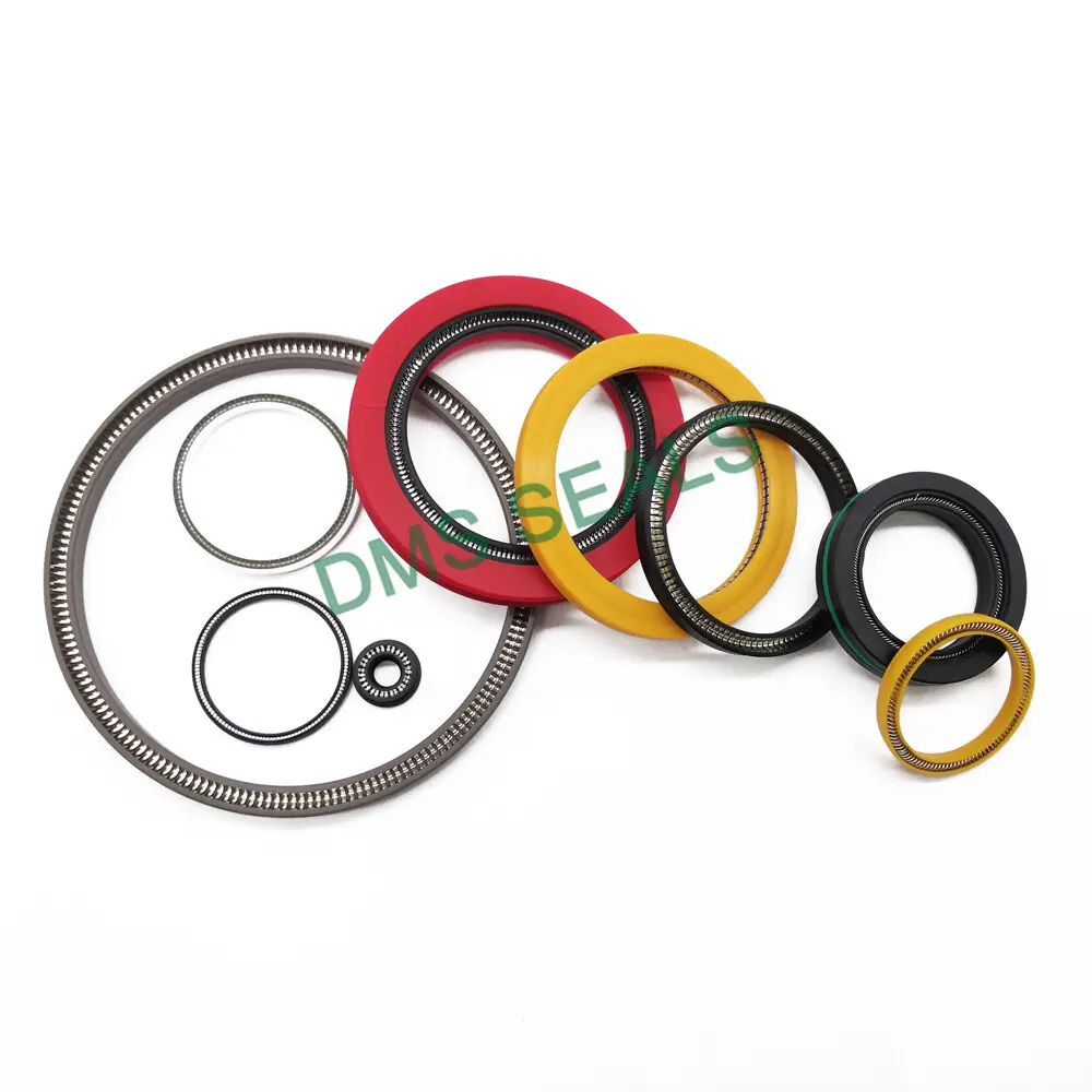 DMS Seals Spring Loaded Seals Spring Loaded Seals Distributor 6