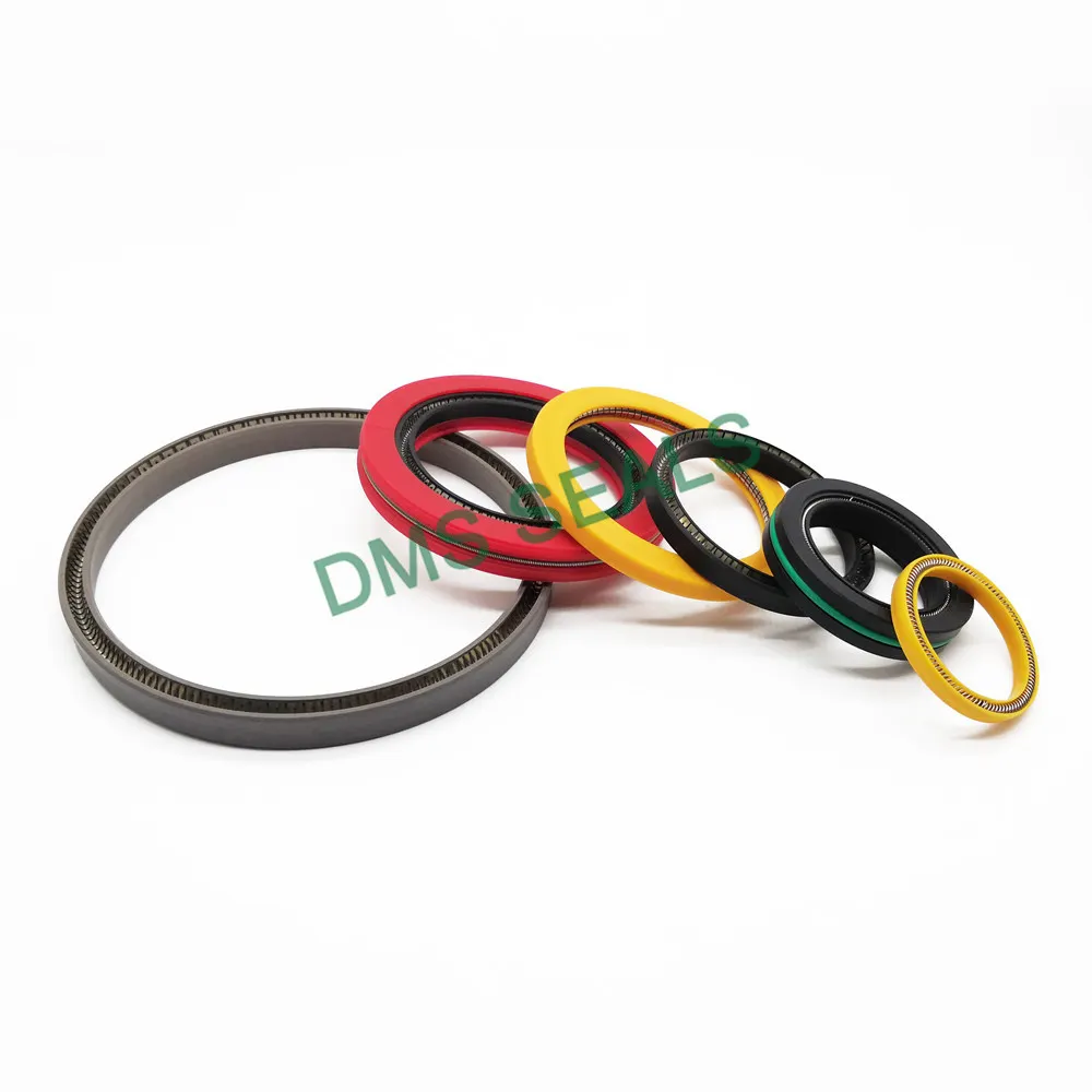 DMS Seals Spring Energized C Ring Company 6