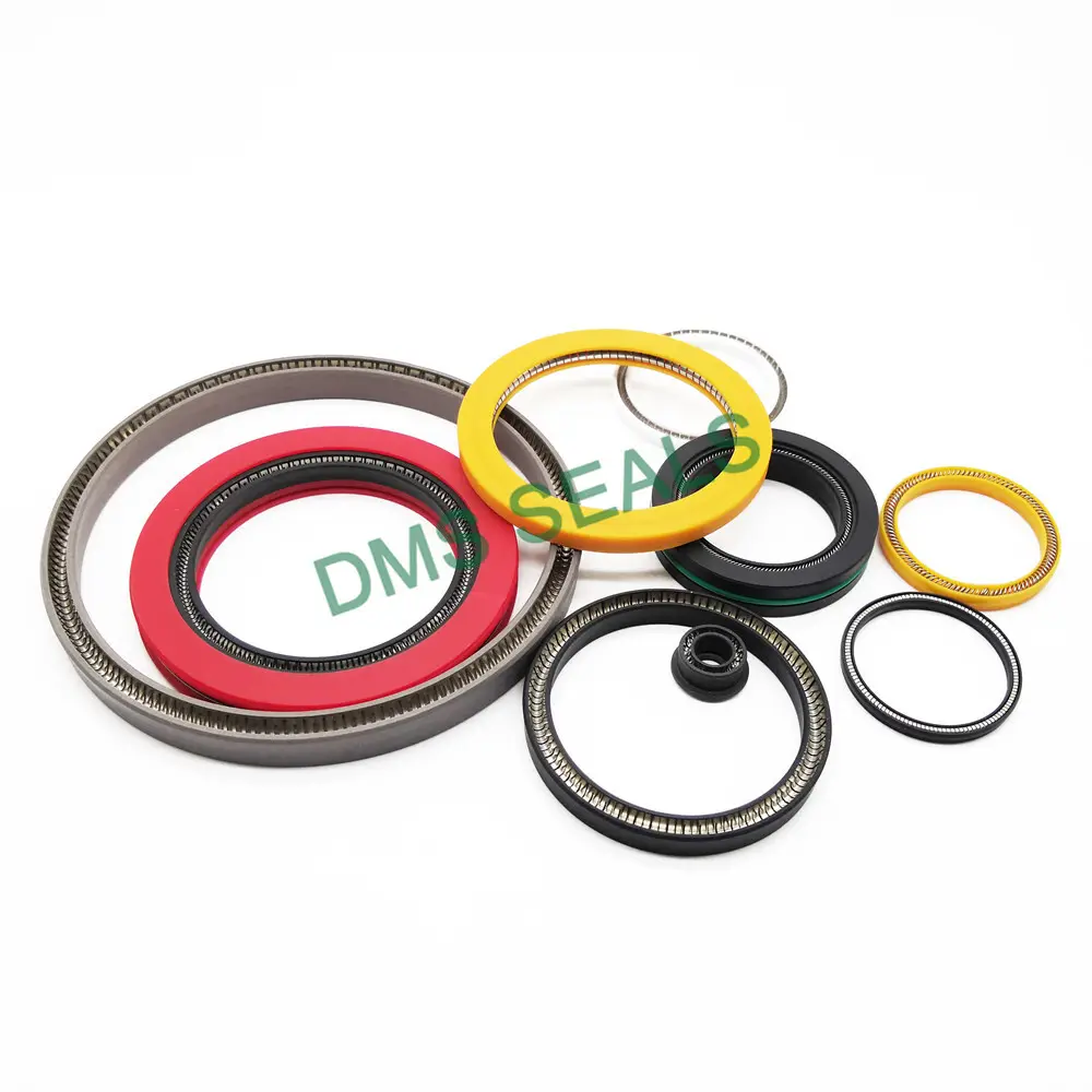 DMS Seals Spring Energized C Ring Company 4