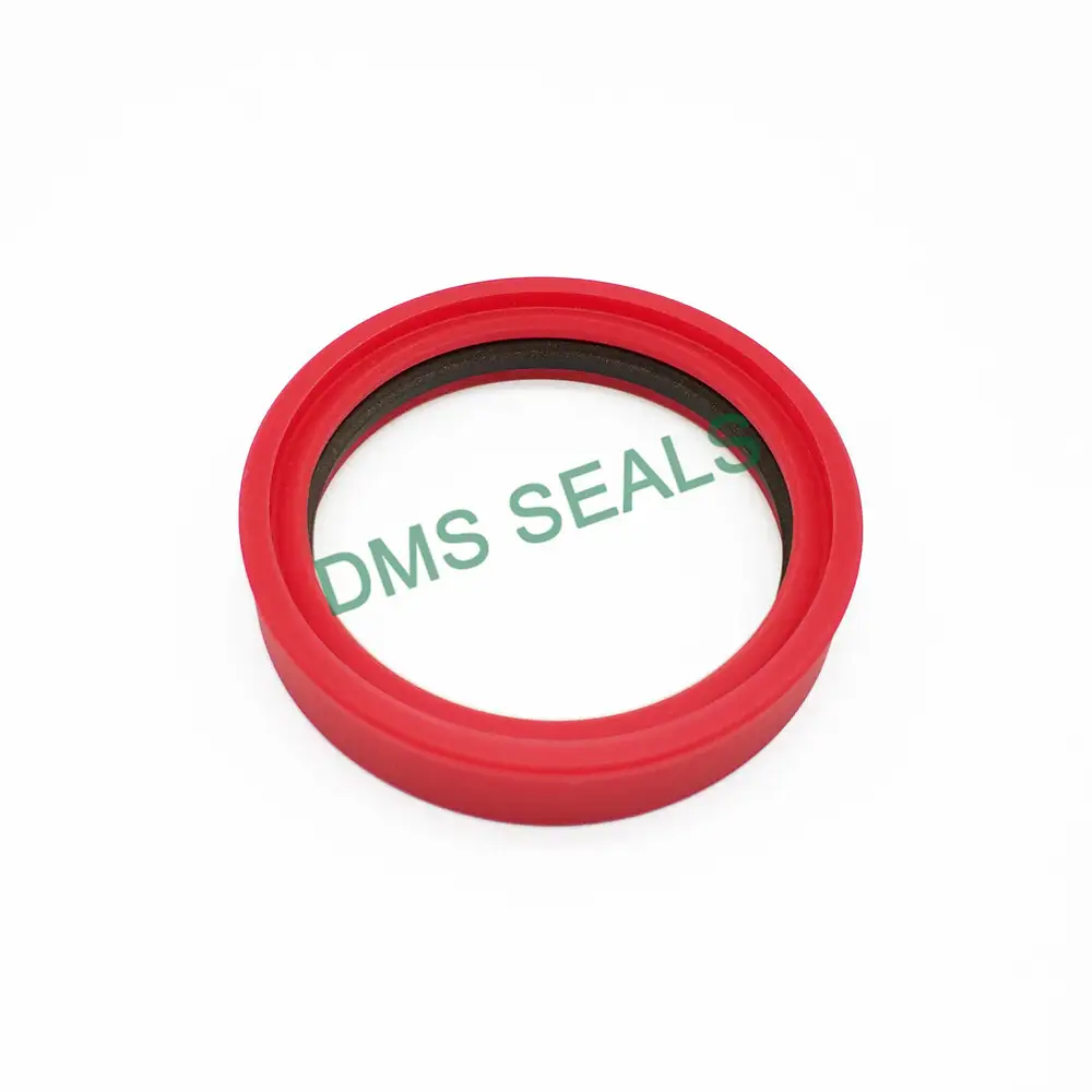 TDI - hydraulic cylidner rod tandem seal with low friction 1