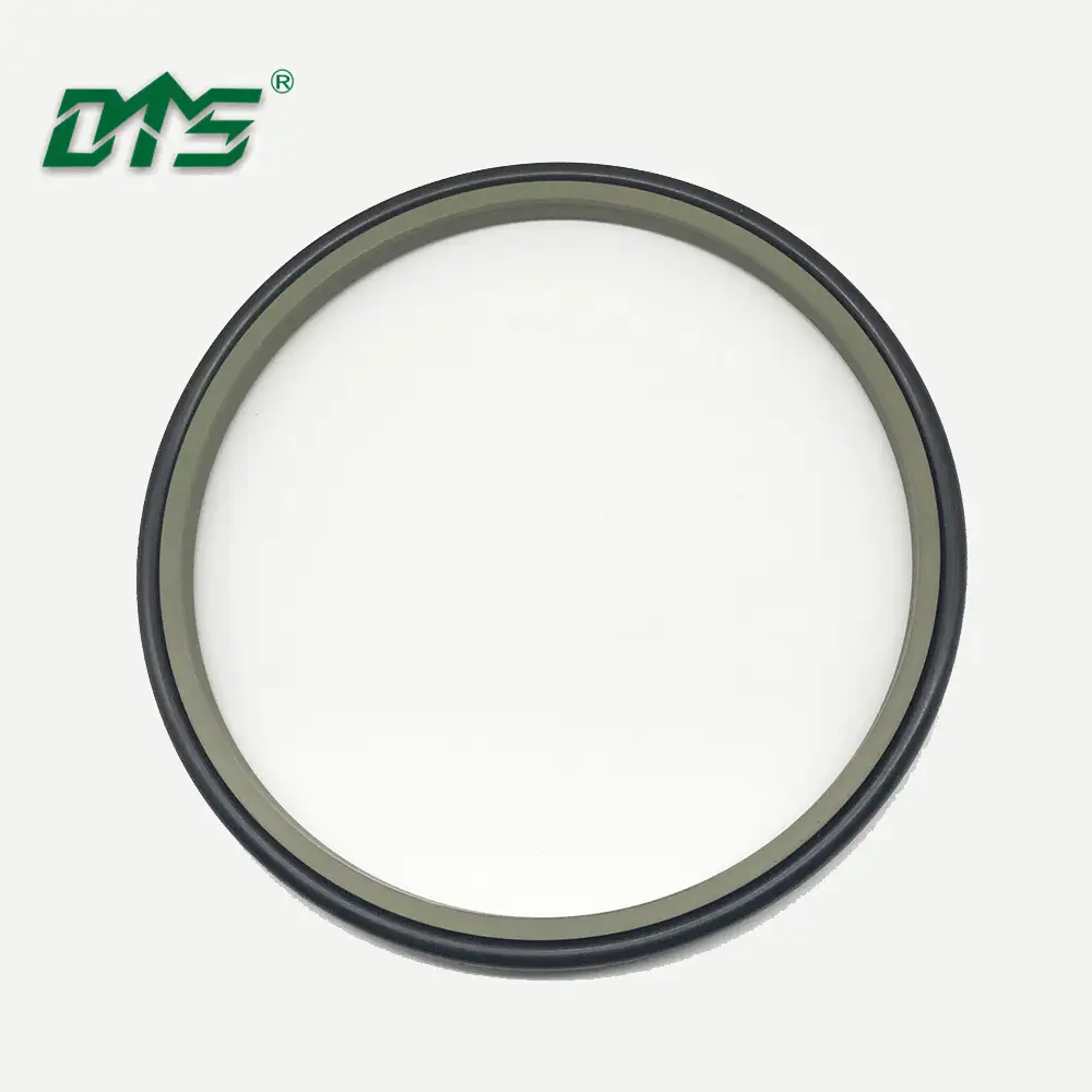 Bronze PTFE excluder double acting scraper seal DPT1 1