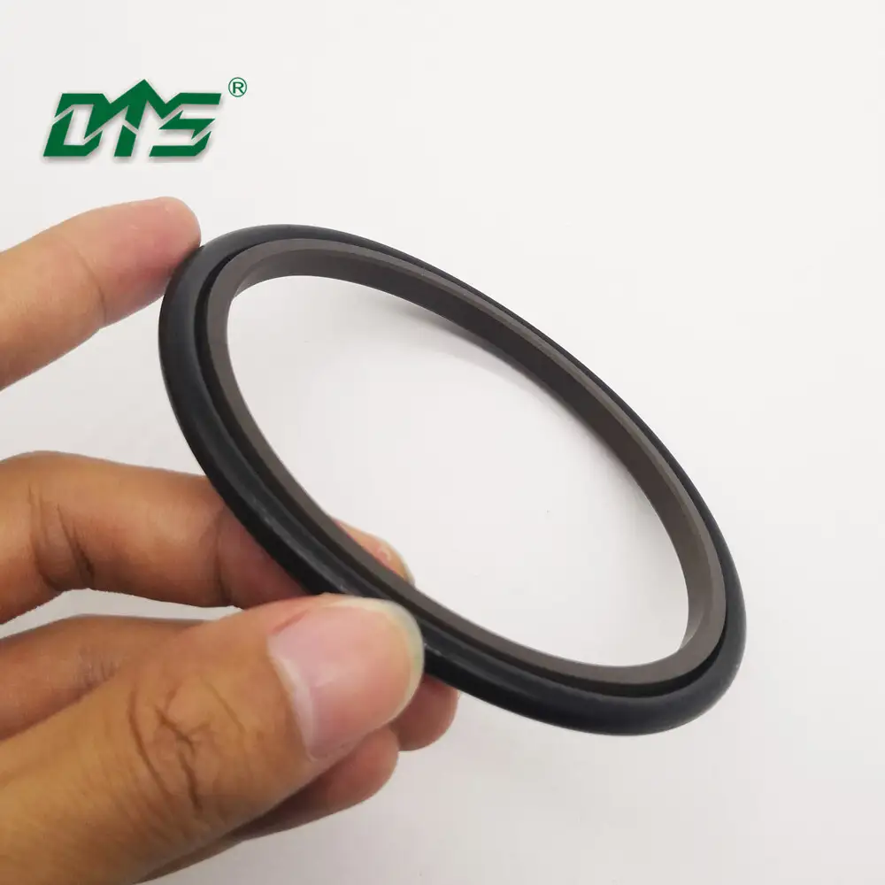 PTFELip Seals/hydraulicSeals 1