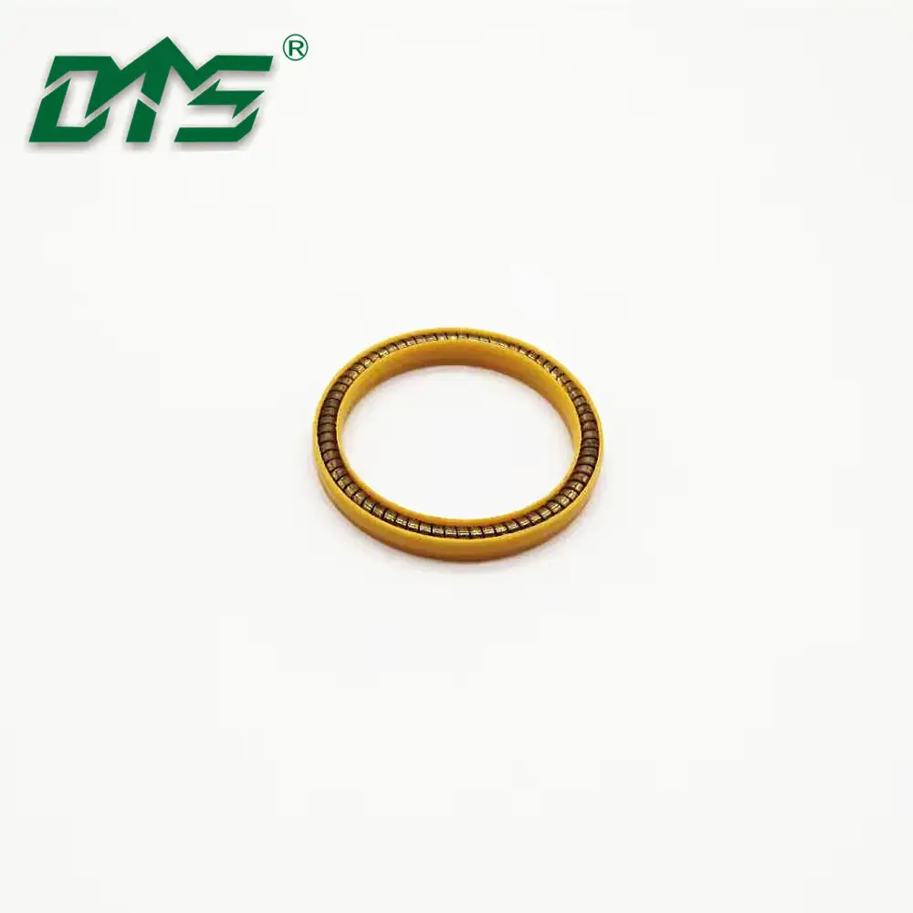 UPE/PCTFE/PTFE Seal Spring Energized Seal 1