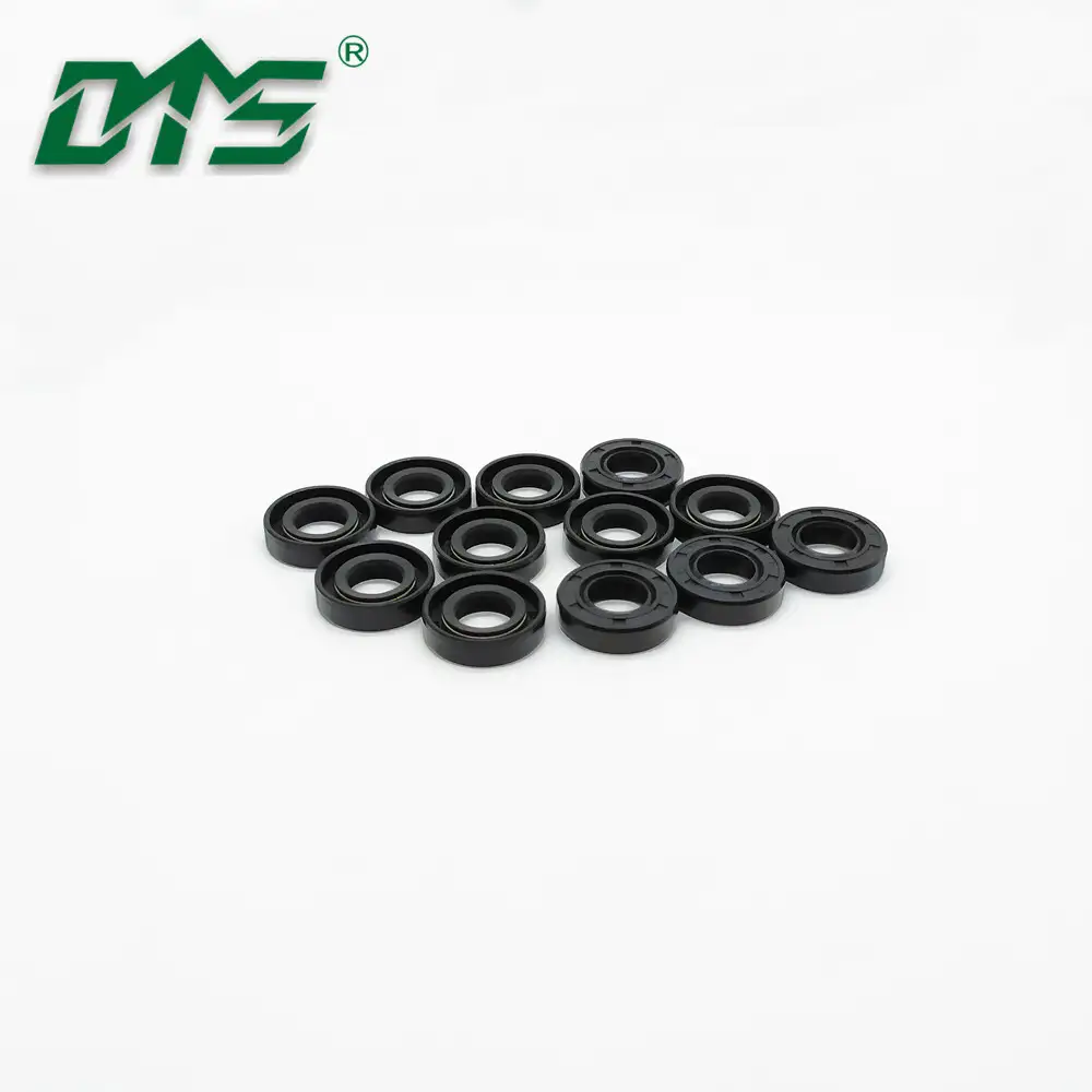 Small Sizes Shaft Oil Seal TC With NBR Rubber Case and Stainless Steel 1