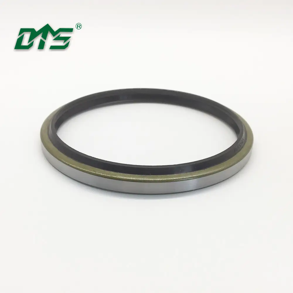 Standard Size NBR DKB Oil Seal for Excavator 1