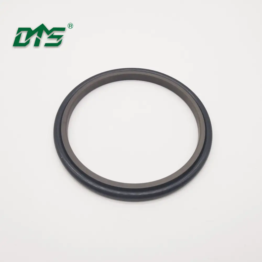 Carbon partsset shaft hydraulic glyd ring GSI rod seal 1