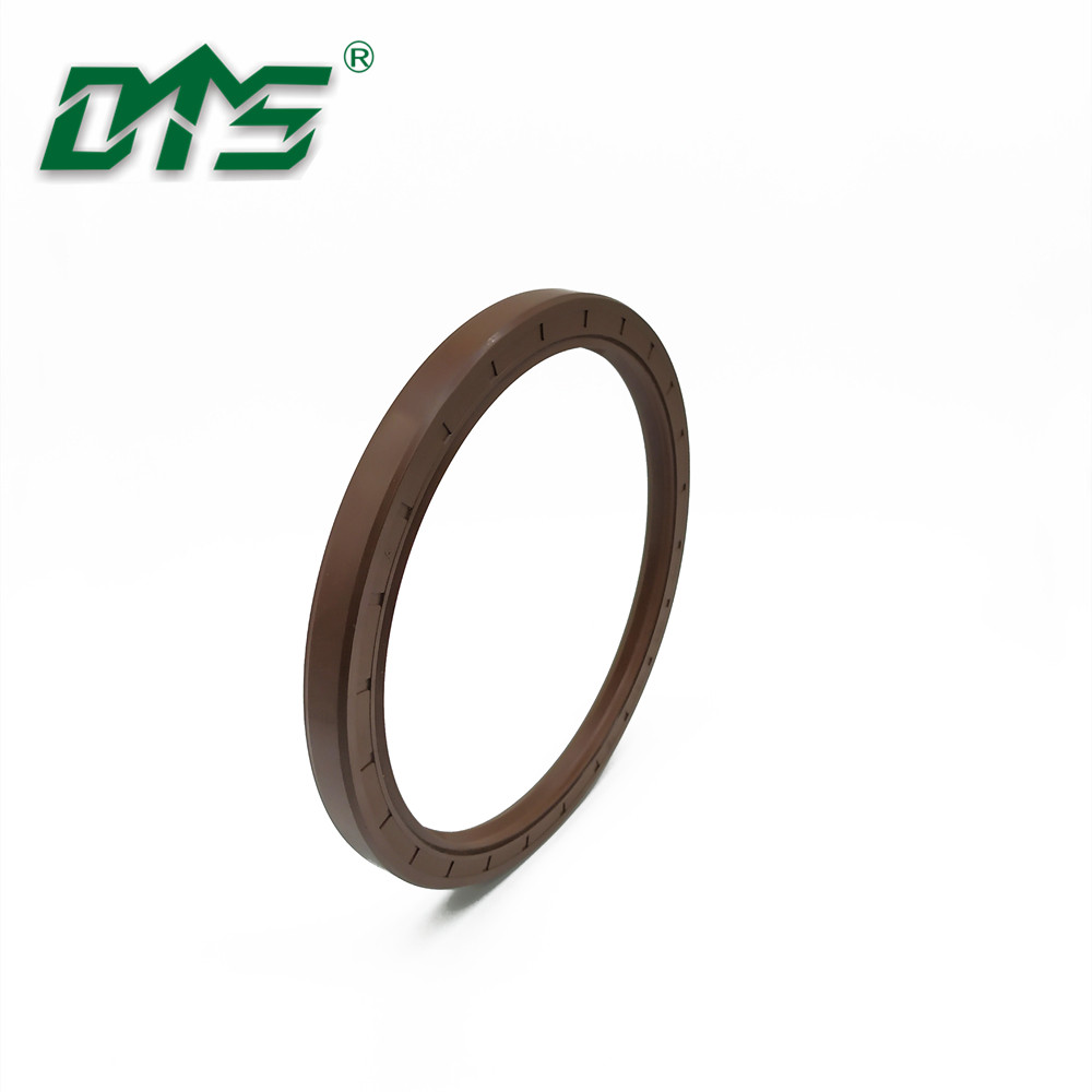 Accept Customized TG Oil Seal Double Lip FKM/FPM Oil Seal From China Manufacture 4