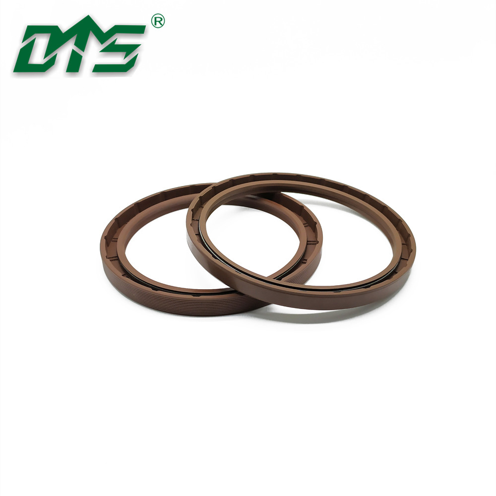 Accept Customized TG Oil Seal Double Lip FKM/FPM Oil Seal From China Manufacture 6