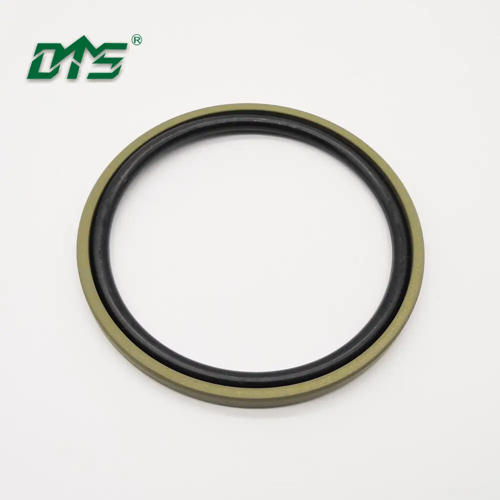 FKM Piston Seal for Hydraulic Cylinder 1