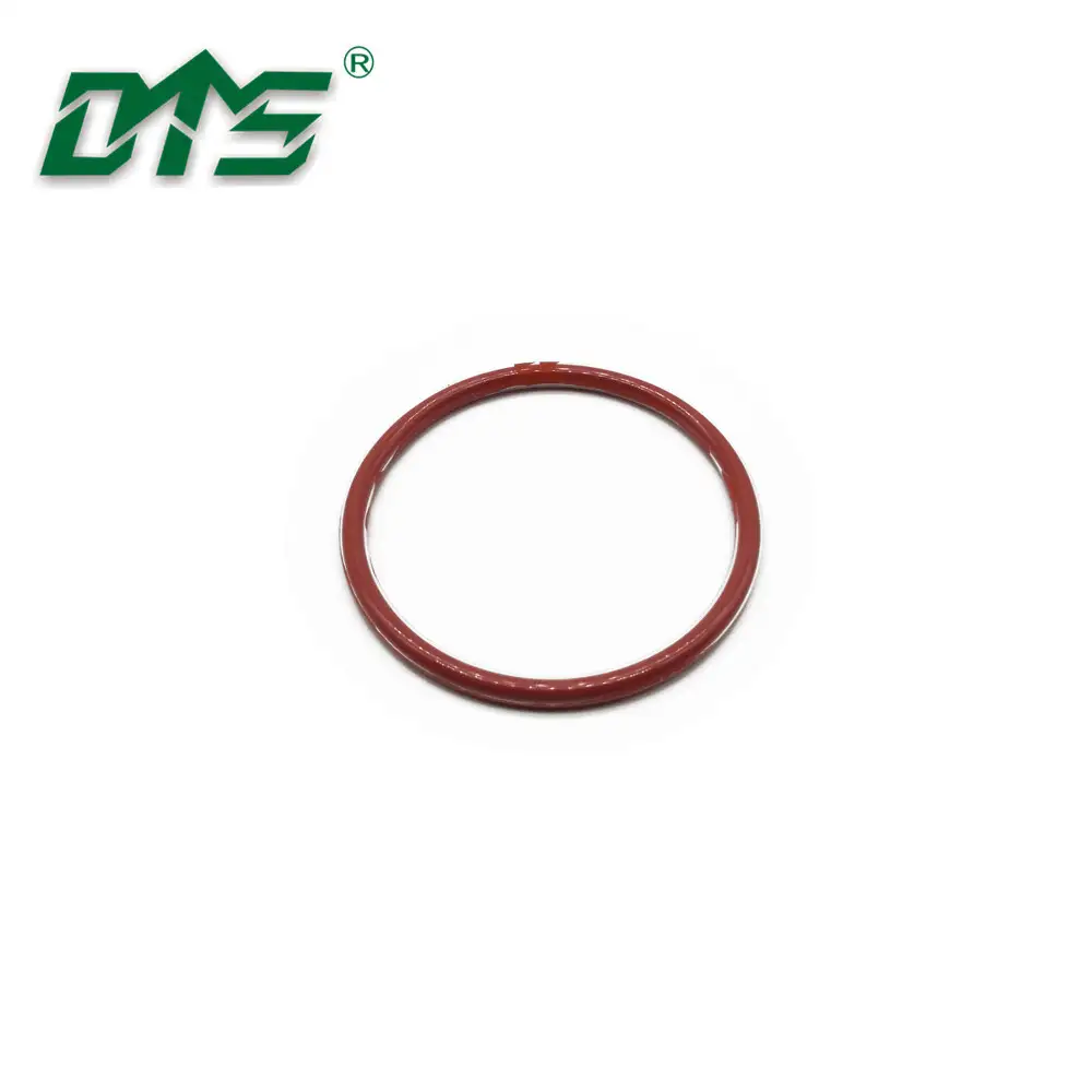 High Quality Good Performance PTFE FEP PFA Encapsulated Silicone O-Ring 1