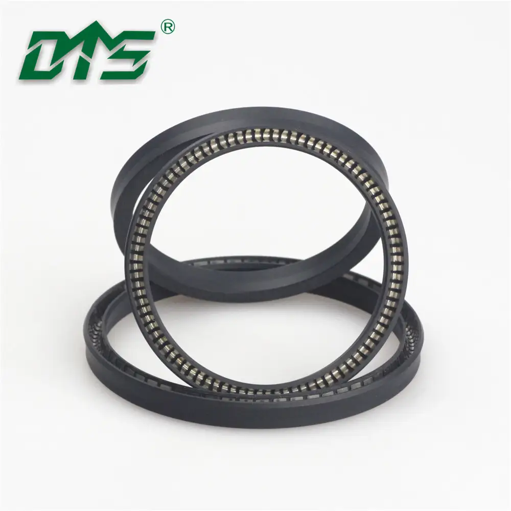 Vacuum pump PTFE Spring Energized Seal Design 1