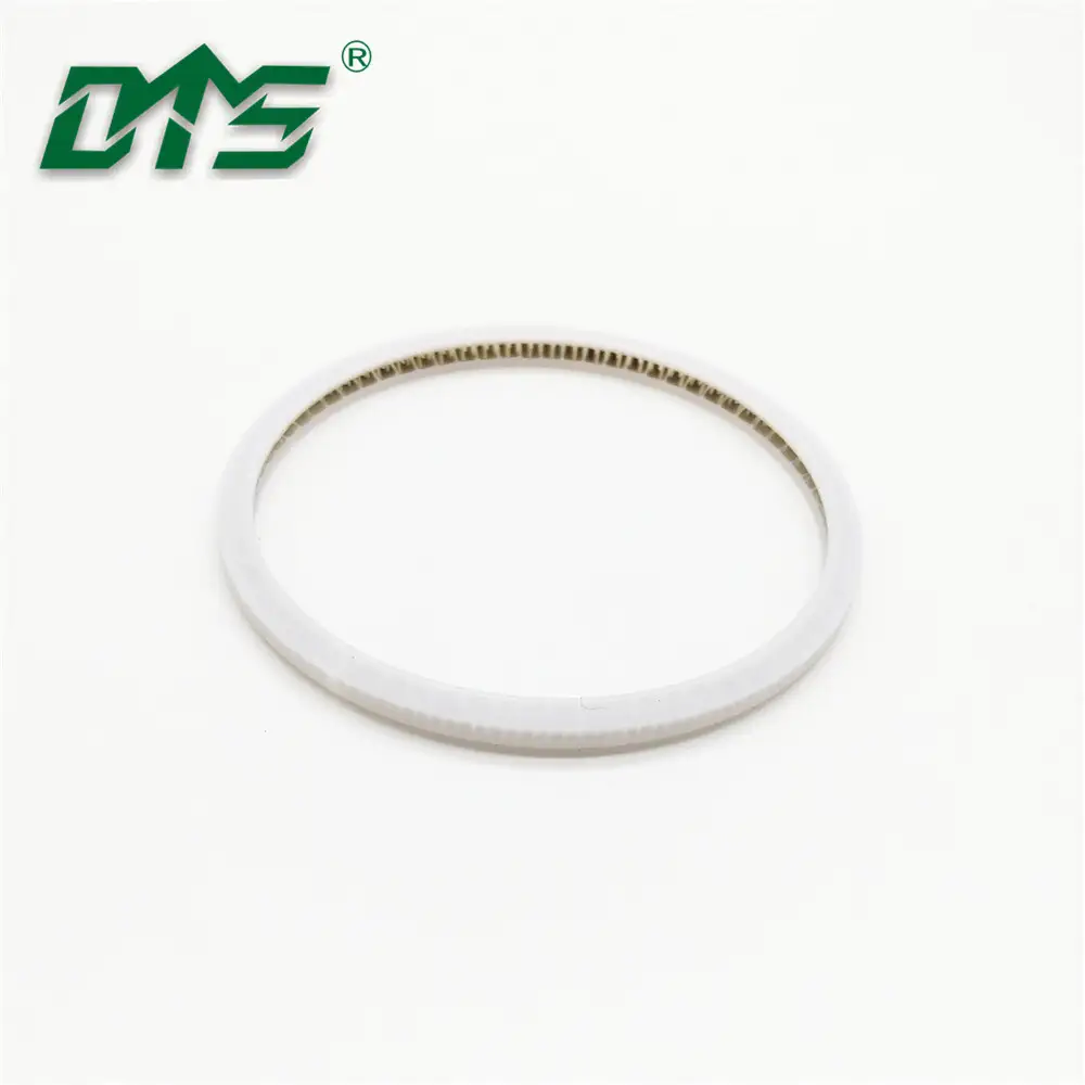 Internal face spring energized seal with PTFE material1 1