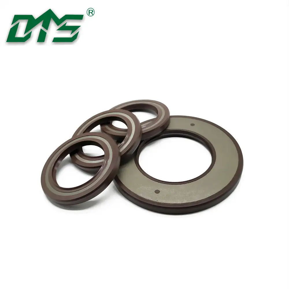 TCV FKM Dual Lips Oil Seals with Spring Loaded 1