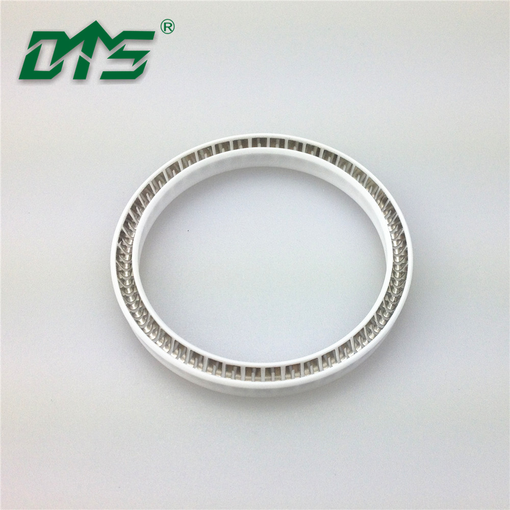 Water Pump Spring Loaded Seal Ring-DMS Seal Manufacturer