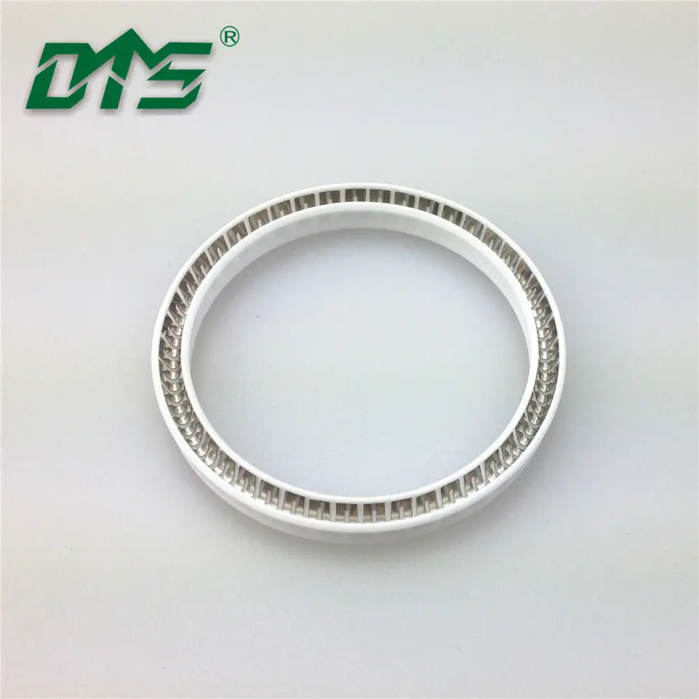 water pump spring loaded seal ring 1