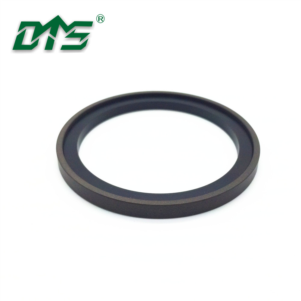 SPG Bronze PTFE and NBR Rubber Ring Double Acting Piston Seals 4