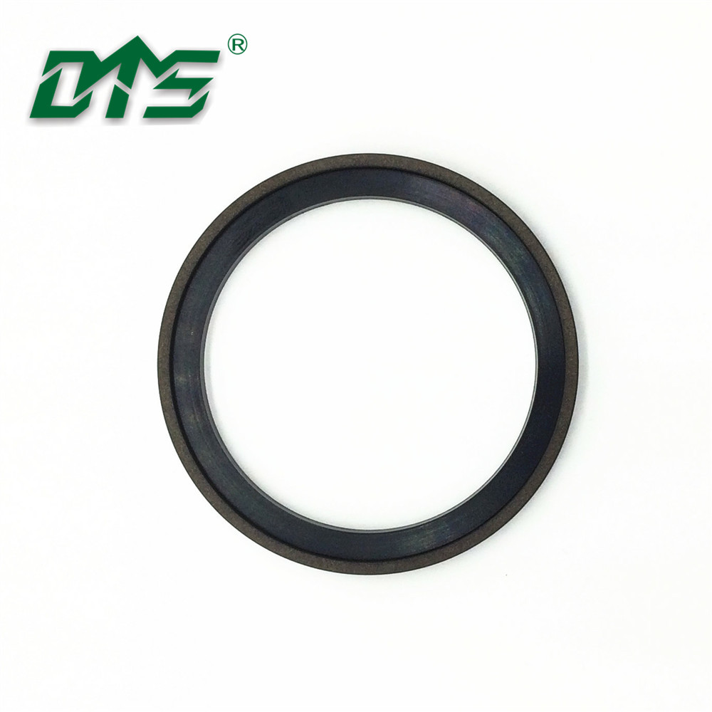 SPG Bronze PTFE and NBR Rubber Ring Double Acting Piston Seals 6