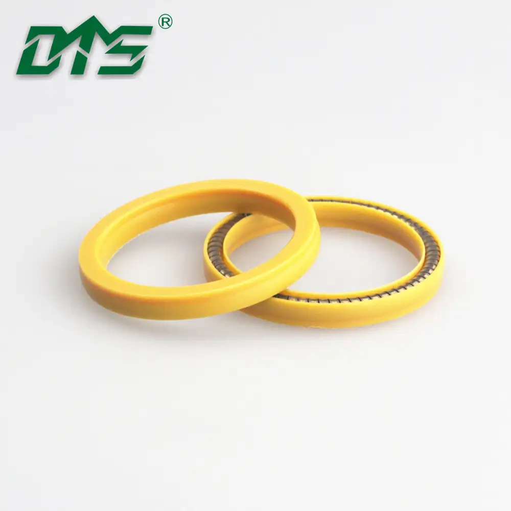 High Load UPE Spring Energized Seal for Offshore LNG Facilities 1