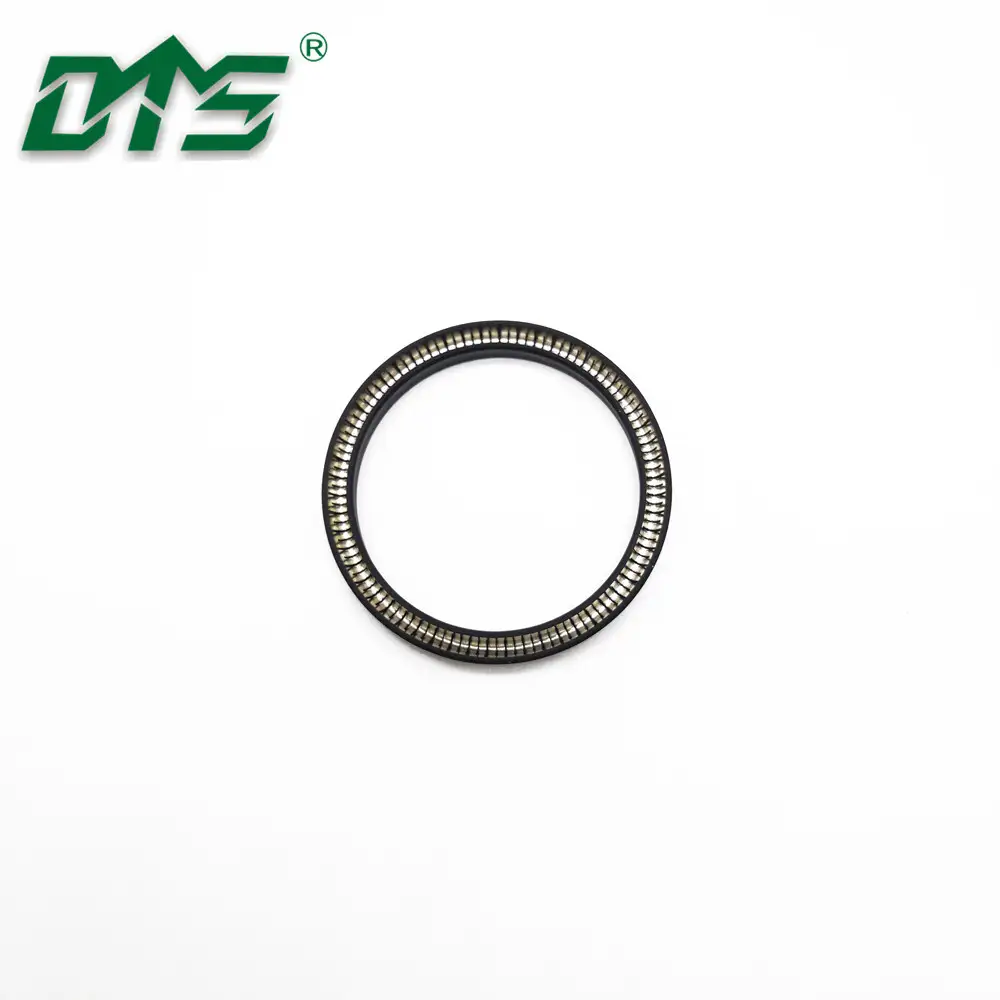 Double Lip Oil Seal Spring Energized Lip Seal 1