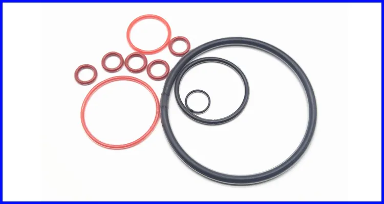 DMS Seals thick rubber o rings in highly aggressive chemical processing 2