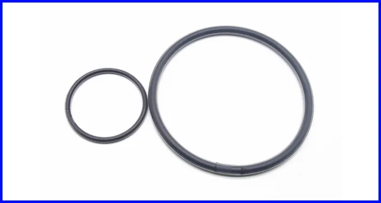 DMS Seals thick rubber o rings in highly aggressive chemical processing 3