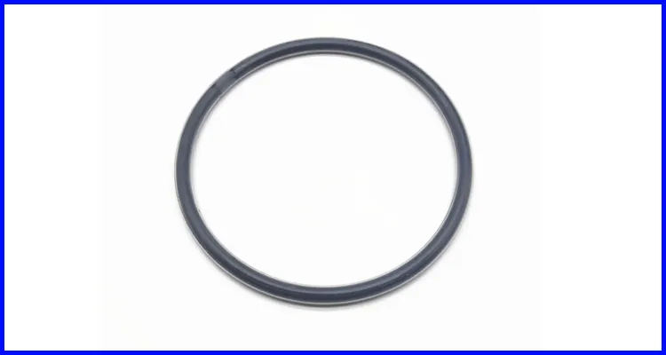 DMS Seals thick rubber o rings in highly aggressive chemical processing 4