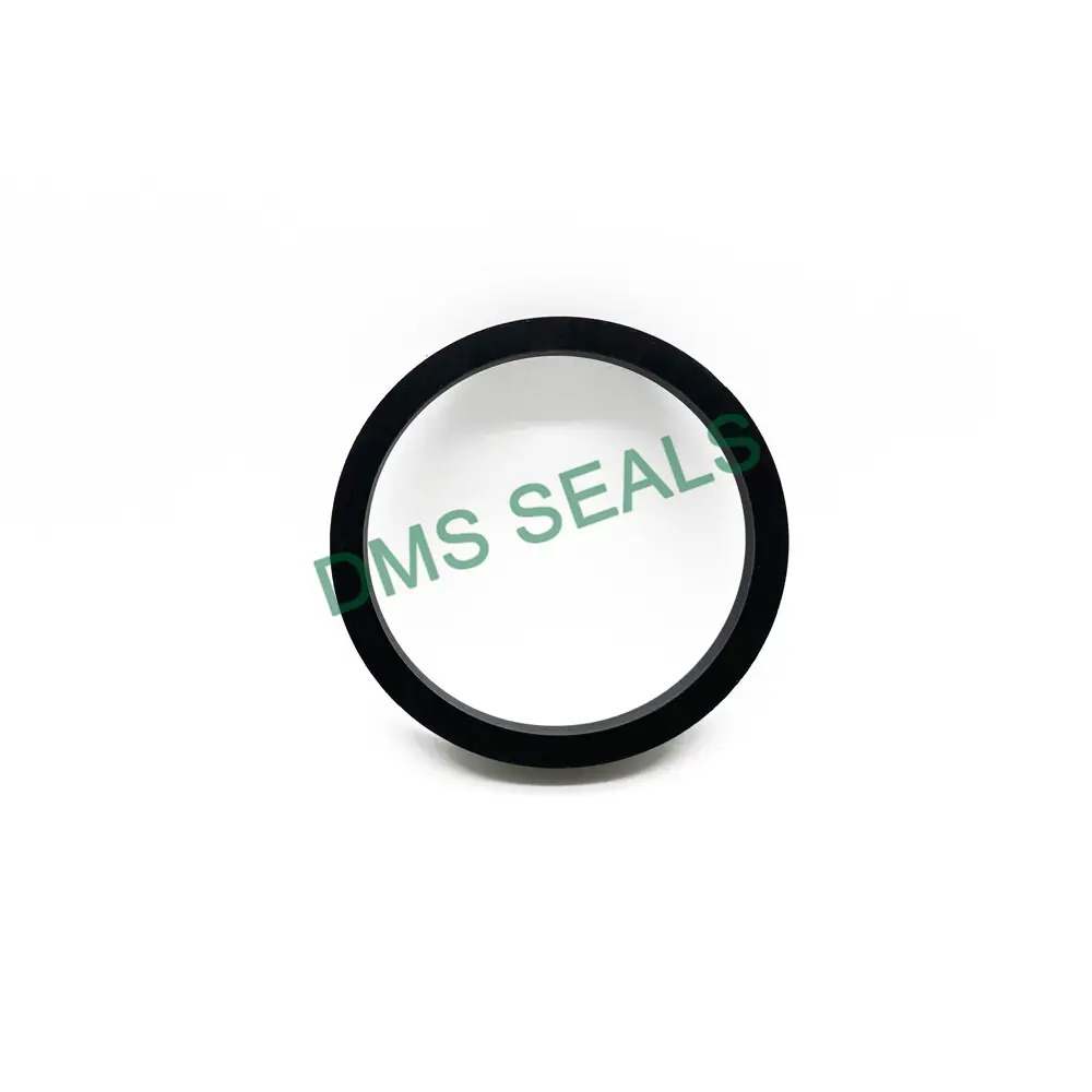 Factory Direct Pneumatic Rod Seals Solution Provider 2