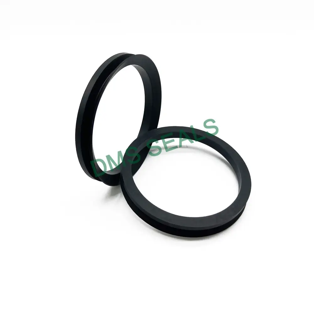 Factory Direct Pneumatic Rod Seals Solution Provider 6