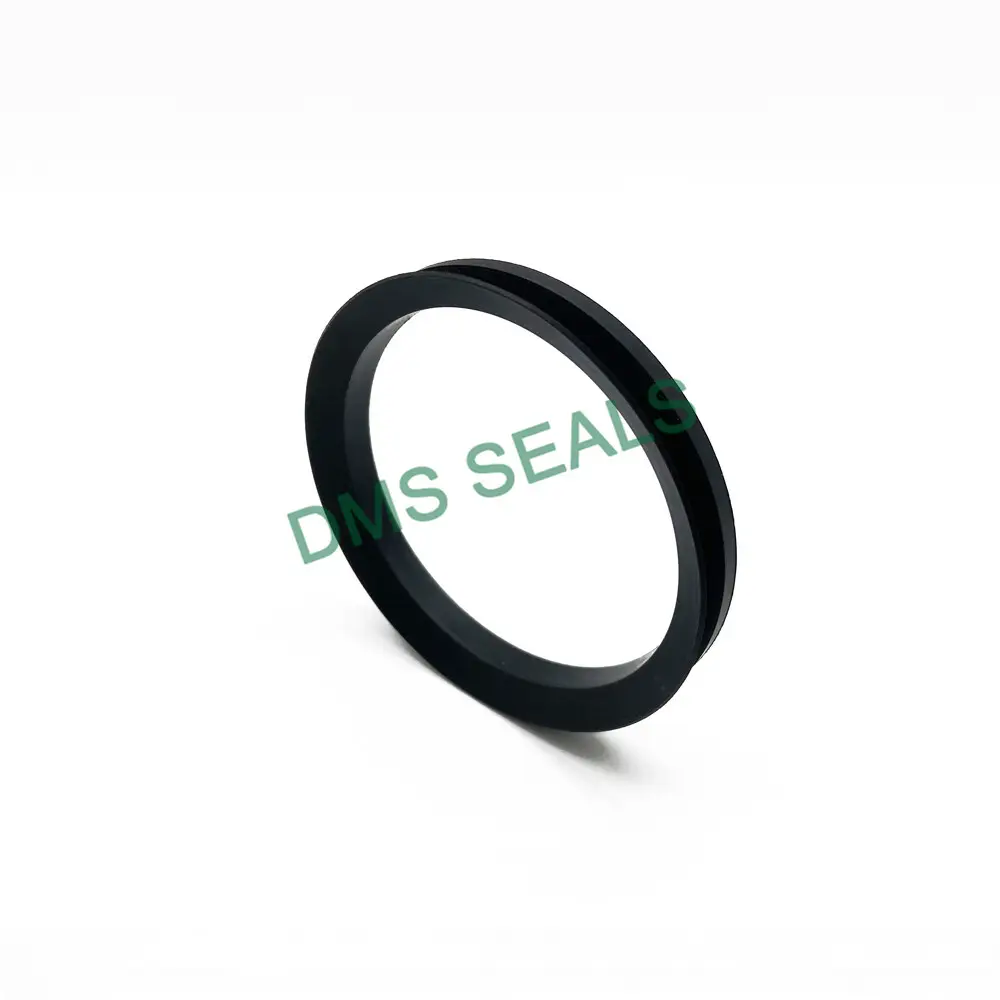 Factory Direct Pneumatic Rod Seals Solution Provider 4